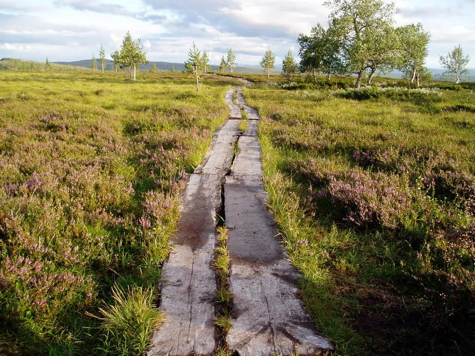 Klicka för att förstora
