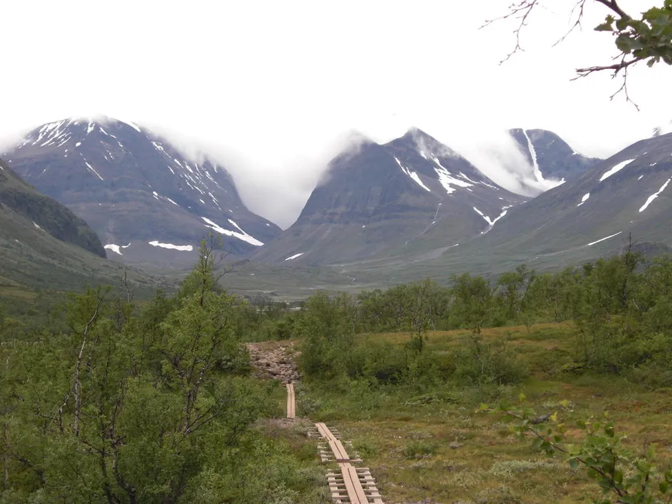 Klicka för att förstora