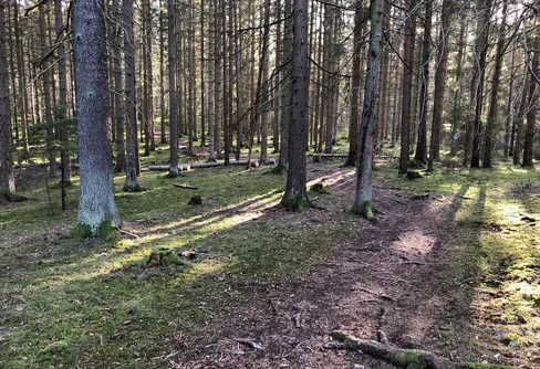 Hellre ett litet äventyr än inget alls