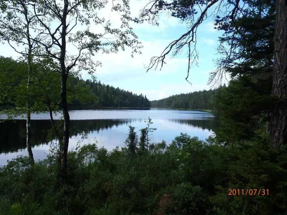 Klicka för att förstora