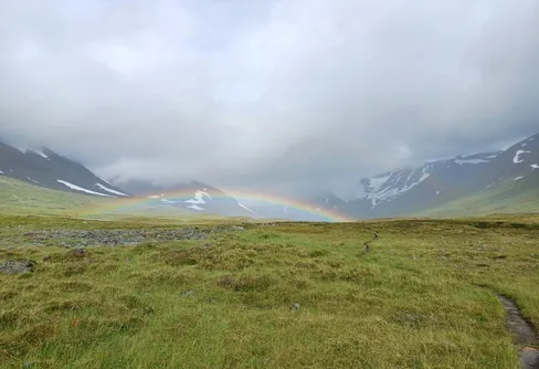Ensamvandrarens gemenskap