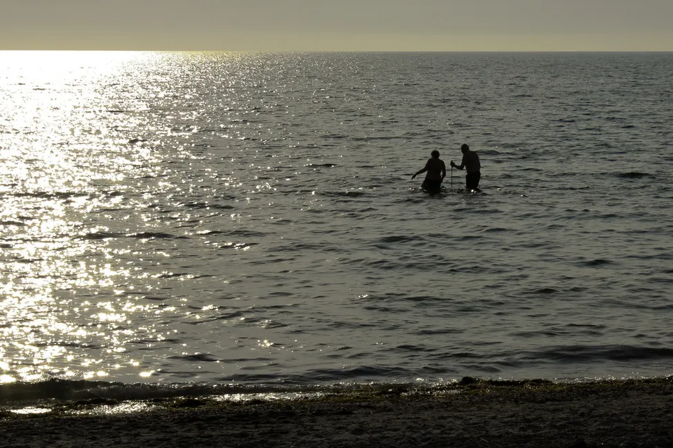 Klicka för att förstora