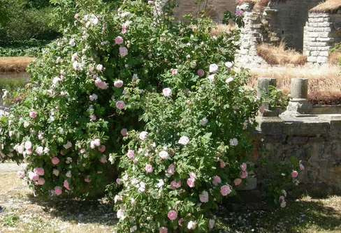 Smultronställe Omberg