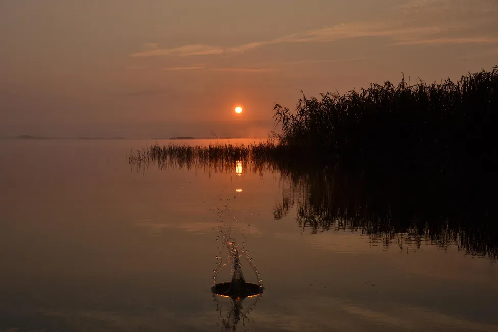 Klicka för att förstora