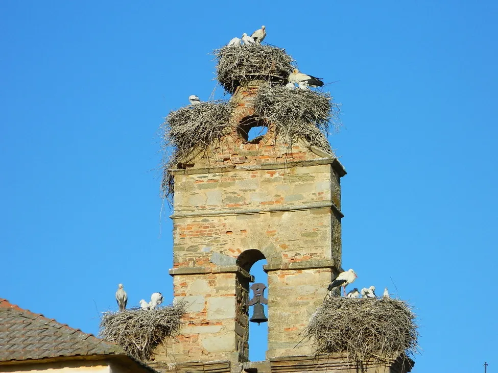 Klicka för att förstora