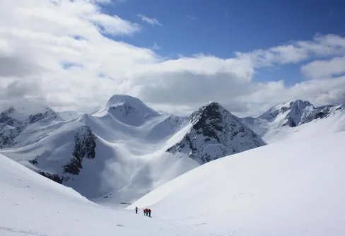 Researrangören vill minska klimatavtrycket – drar ner på flygresorna
