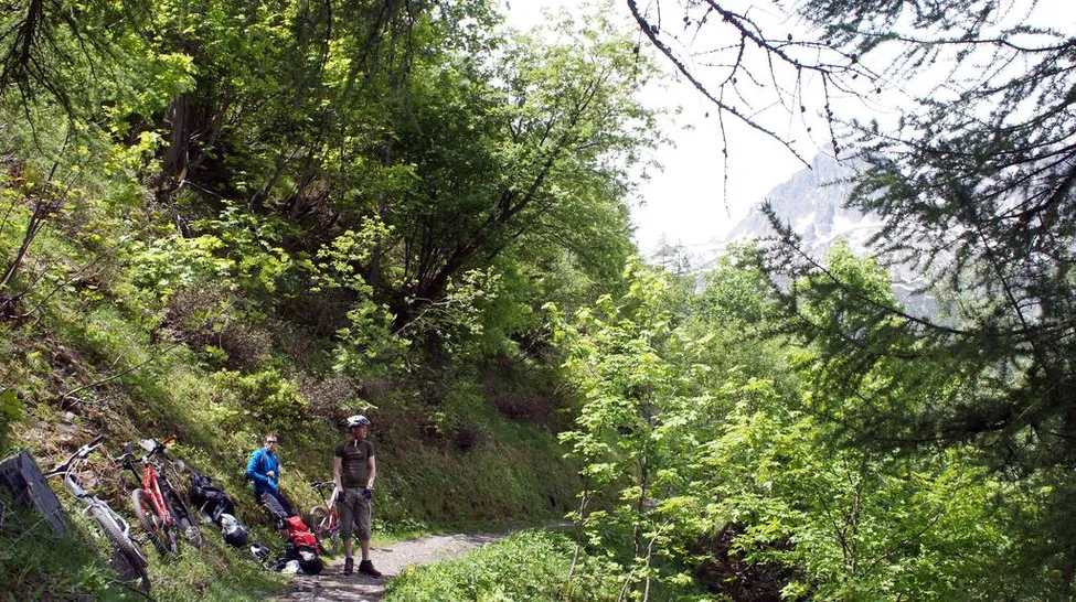 Klicka för att förstora