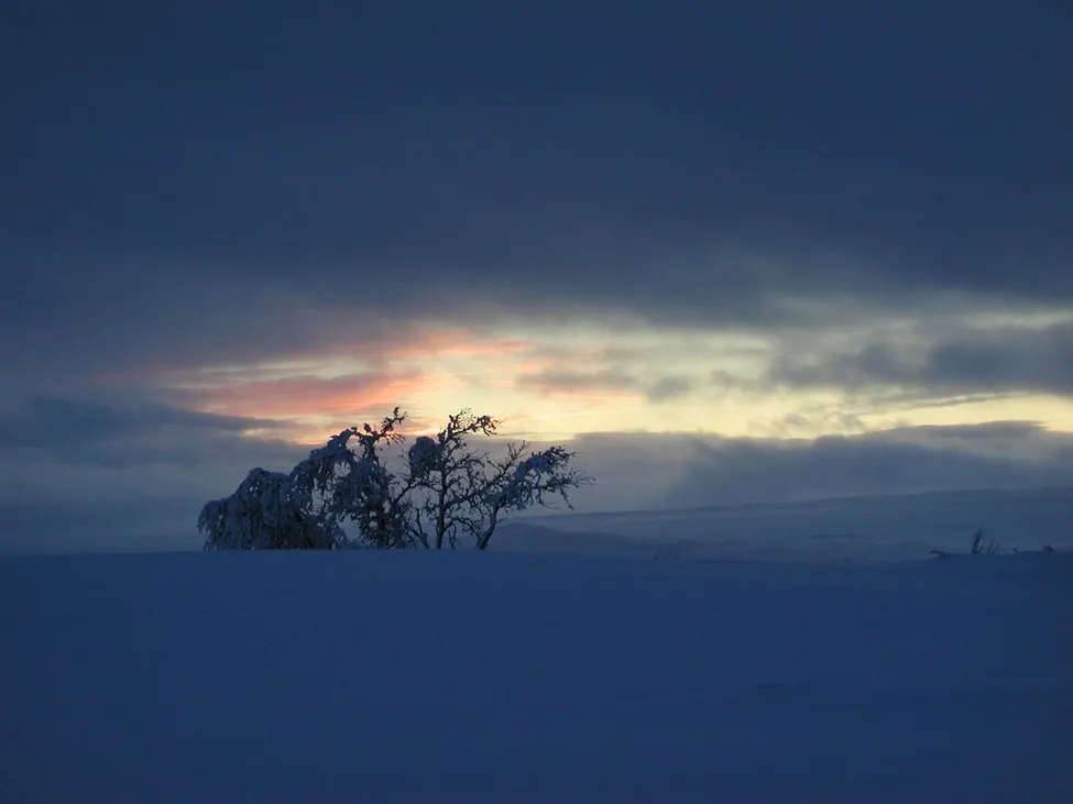 Klicka för att förstora