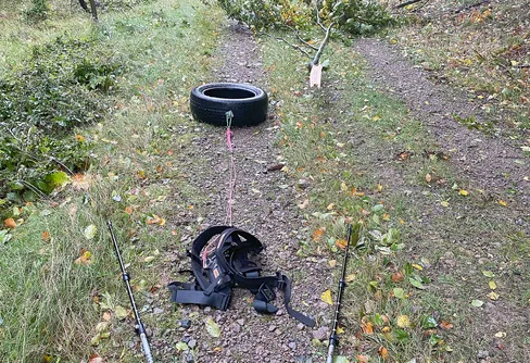 Skogen och ämnet att dra däck