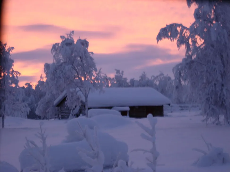 Klicka för att förstora