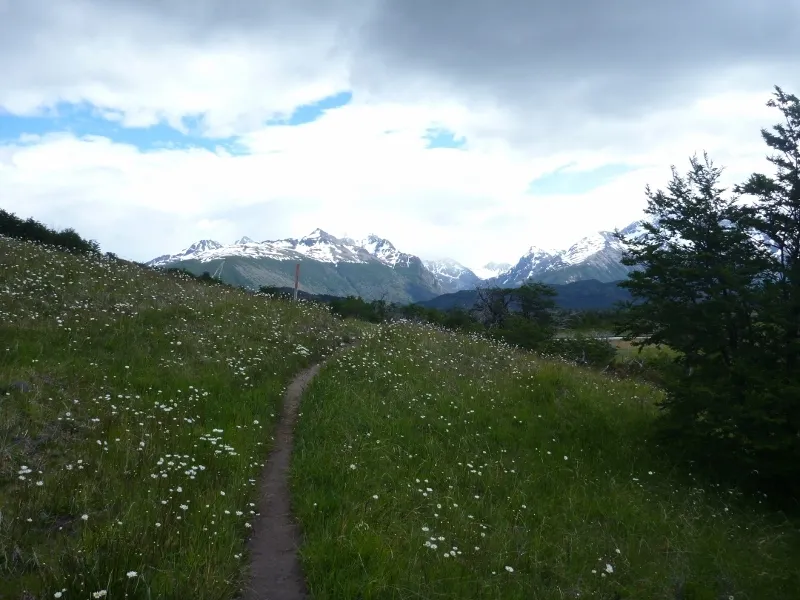 Klicka för att förstora