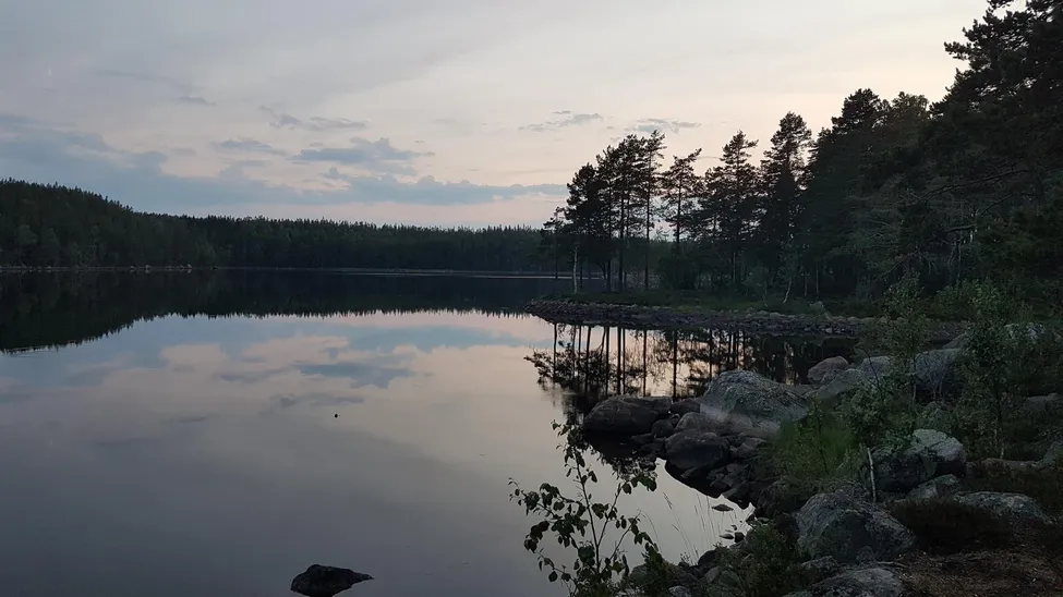Klicka för att förstora