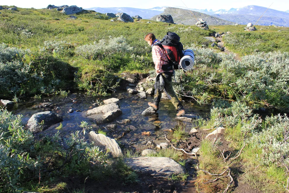 Klicka för att förstora