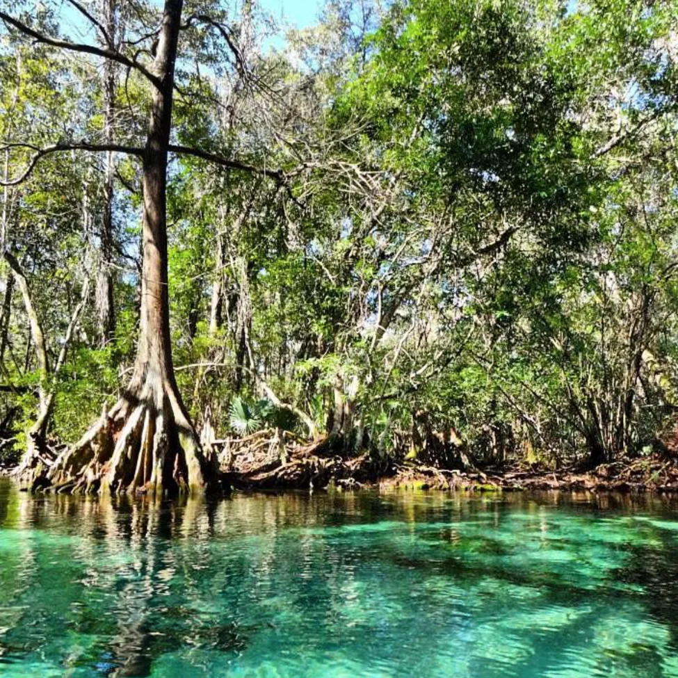 Klicka för att förstora
