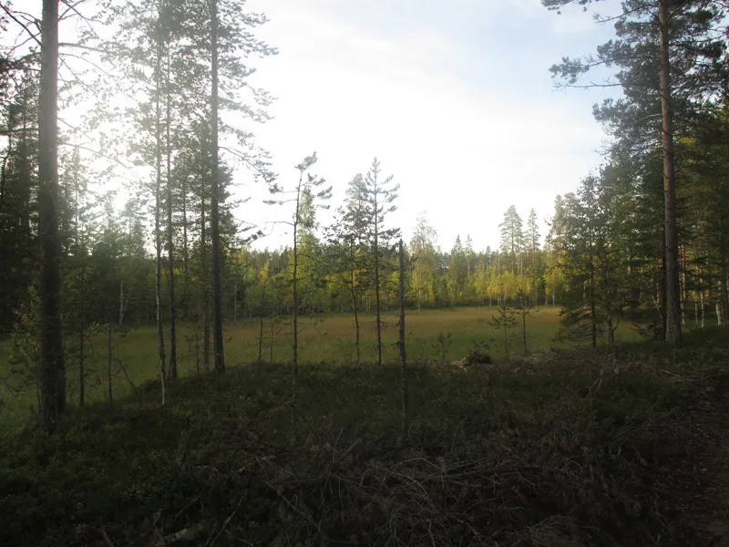 Klicka för att förstora