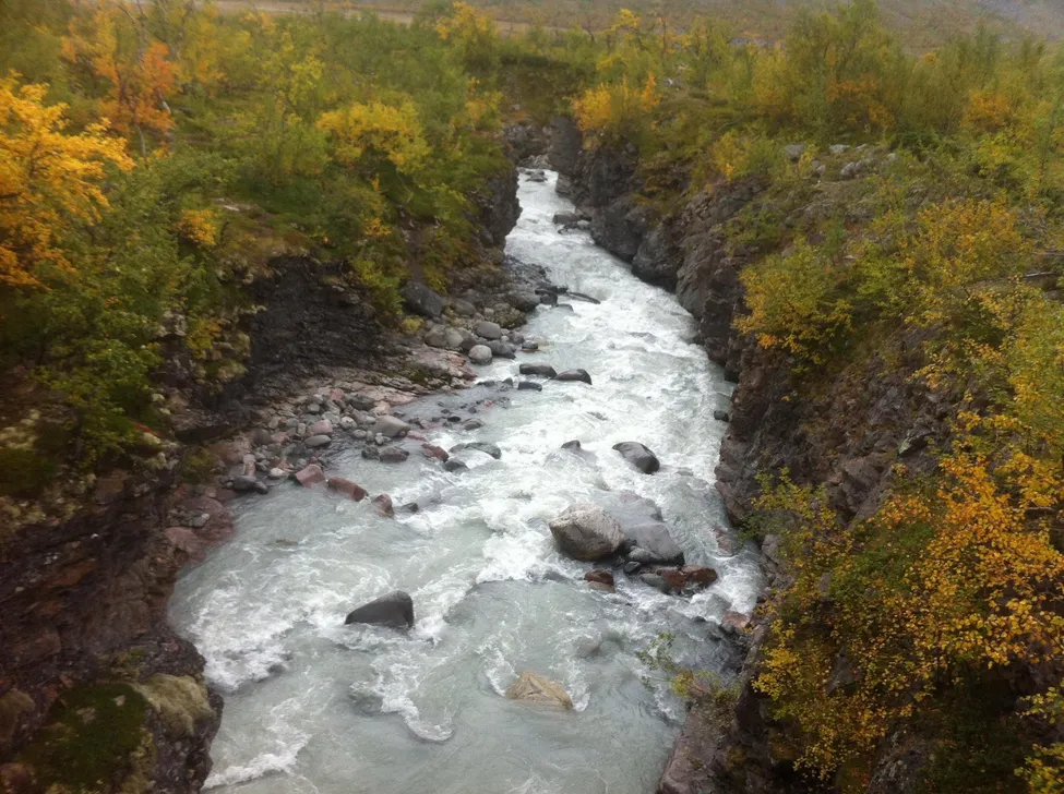 Klicka för att förstora