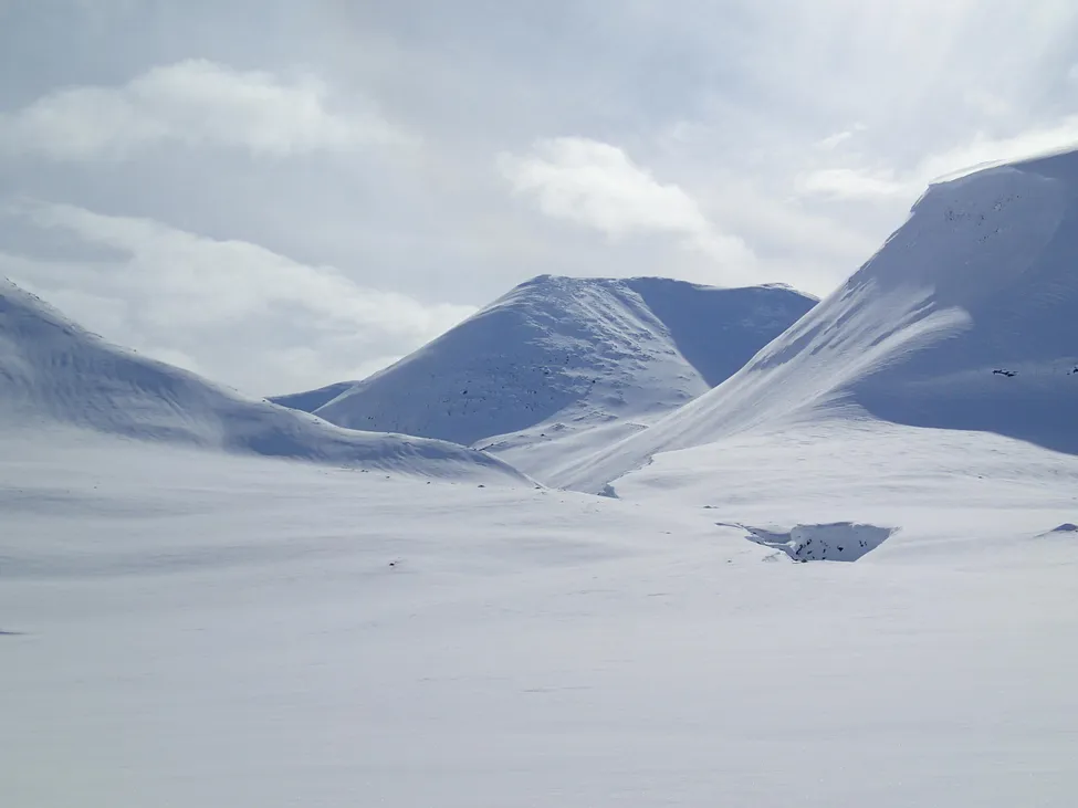 Klicka för att förstora