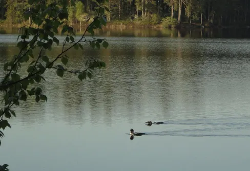 Vandring Järna-Gnesta (Feat. Battle of the Hammocks!)