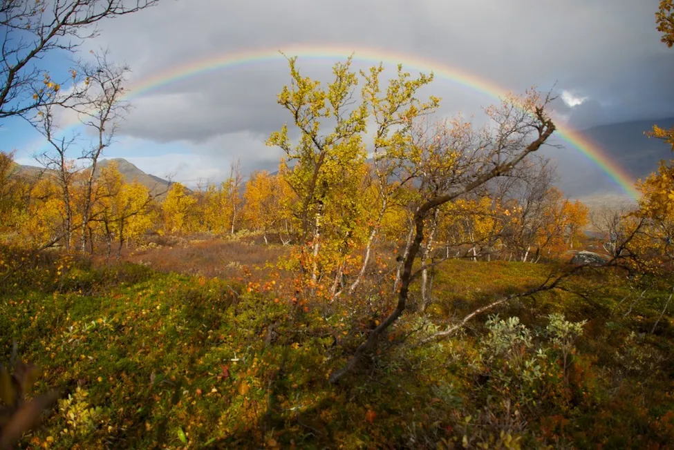 Klicka för att förstora