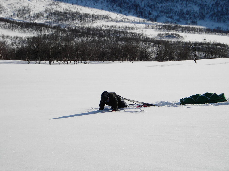 Klicka för att förstora