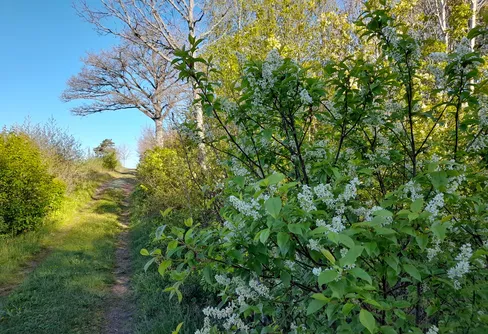 Byträsk, Geta, Åland