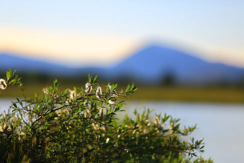 Klicka för att förstora