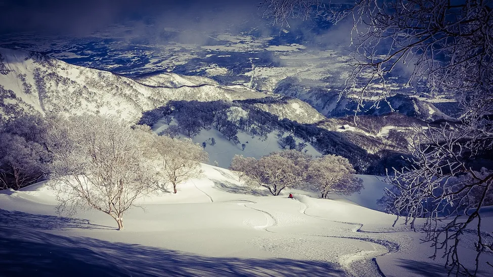 Klicka för att förstora