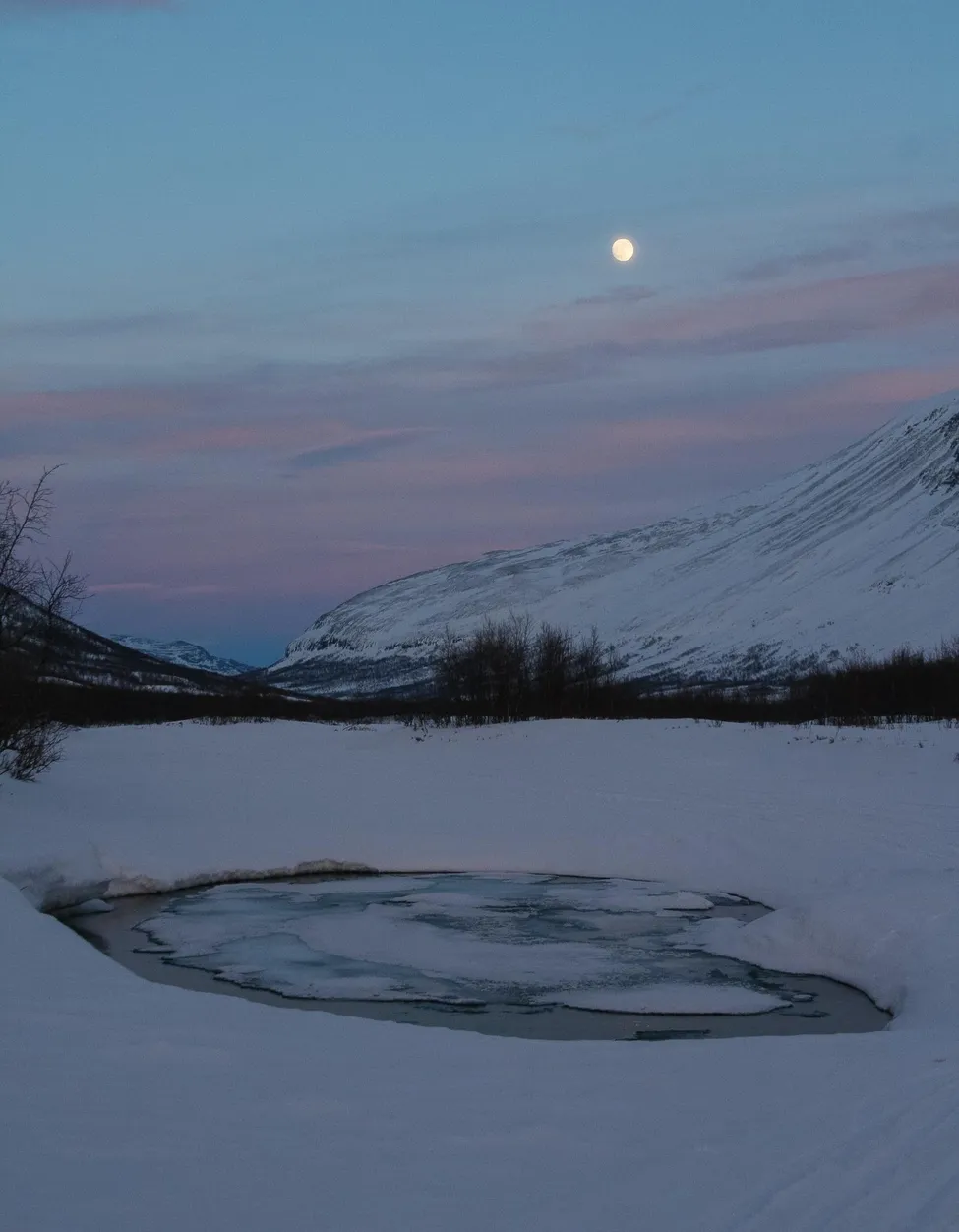 Klicka för att förstora