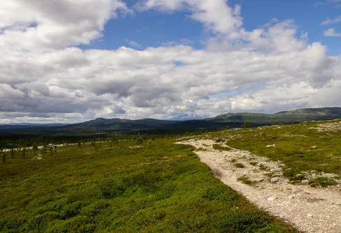 Femundsmarka med gott om tid