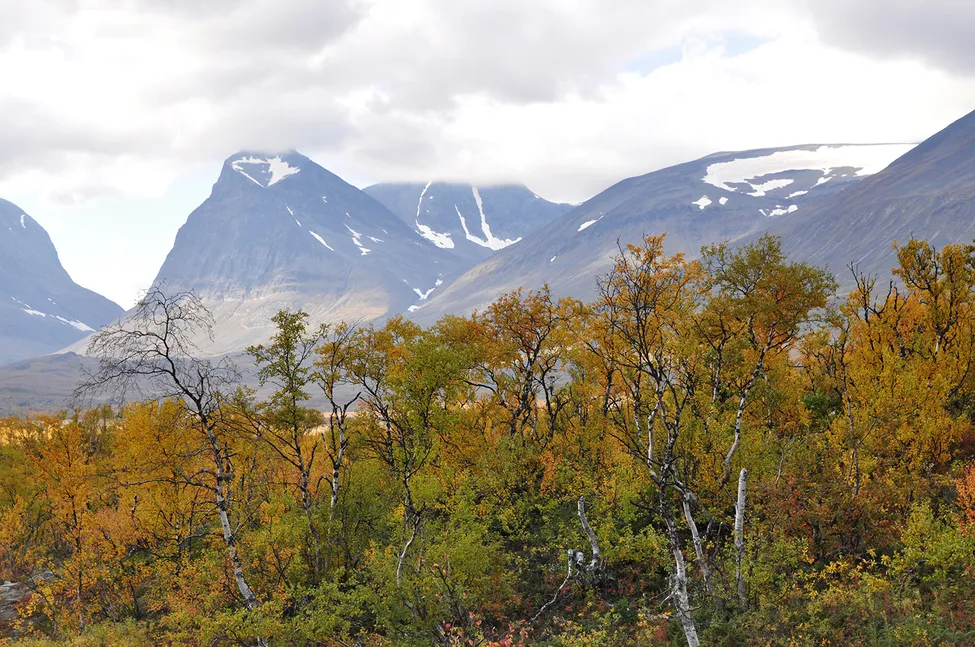 Klicka för att förstora