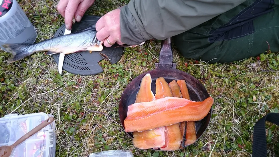 Klicka för att förstora