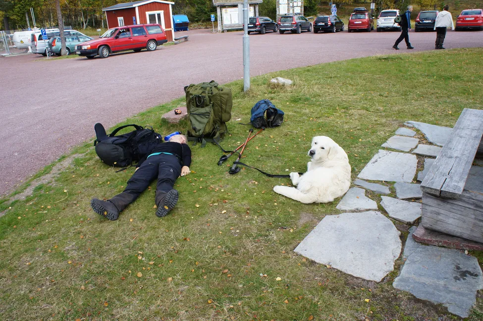 Klicka för att förstora