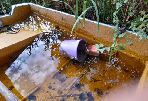 Byträsk, Geta, Åland