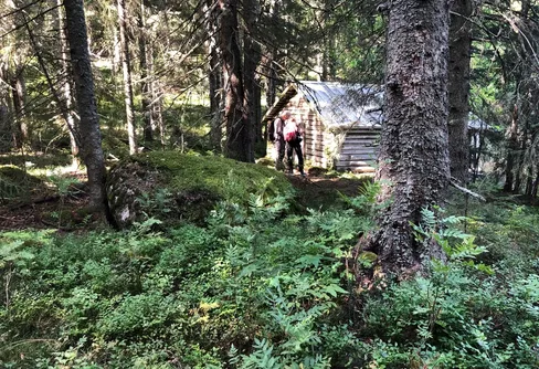 Tips för hänsynsfulla naturupplevelser