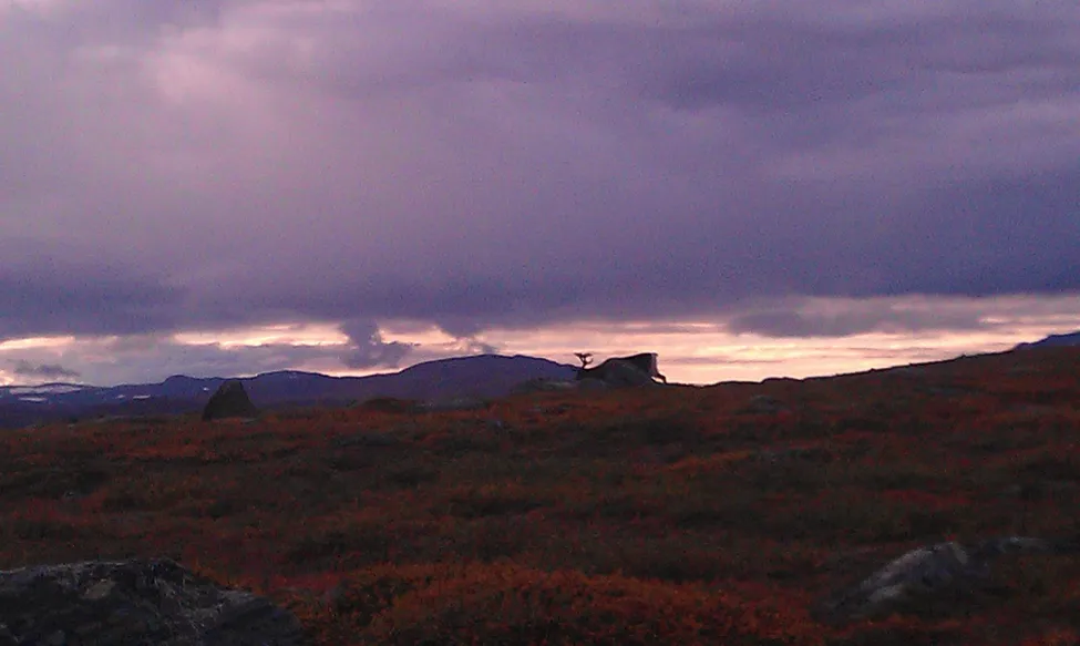 Klicka för att förstora
