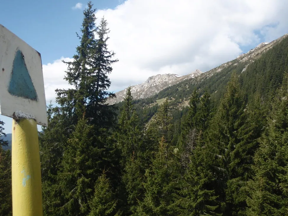 Klicka för att förstora