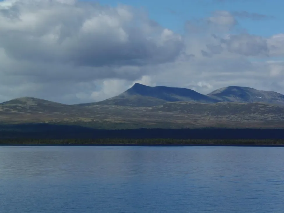 Klicka för att förstora
