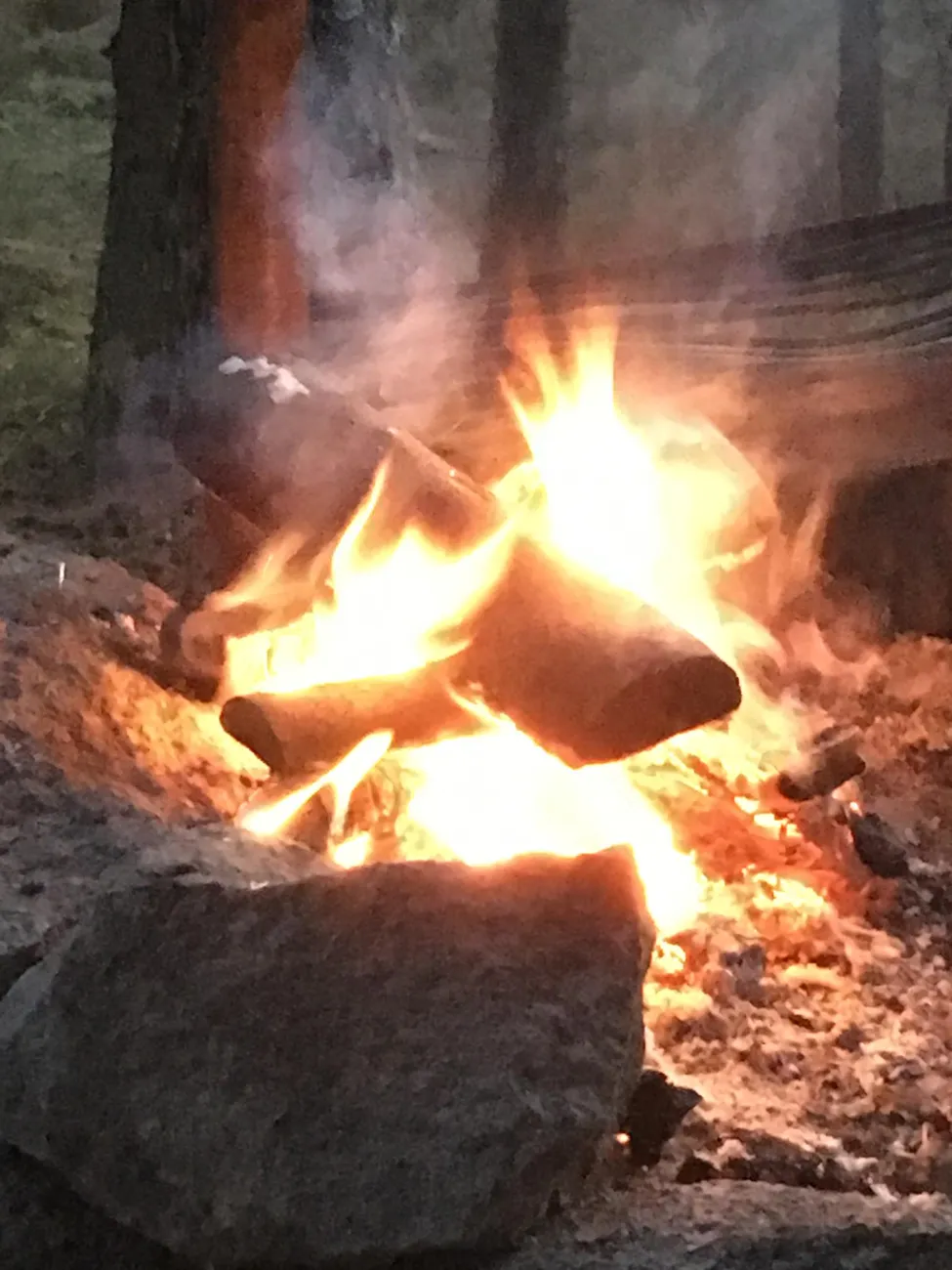 Klicka för att förstora