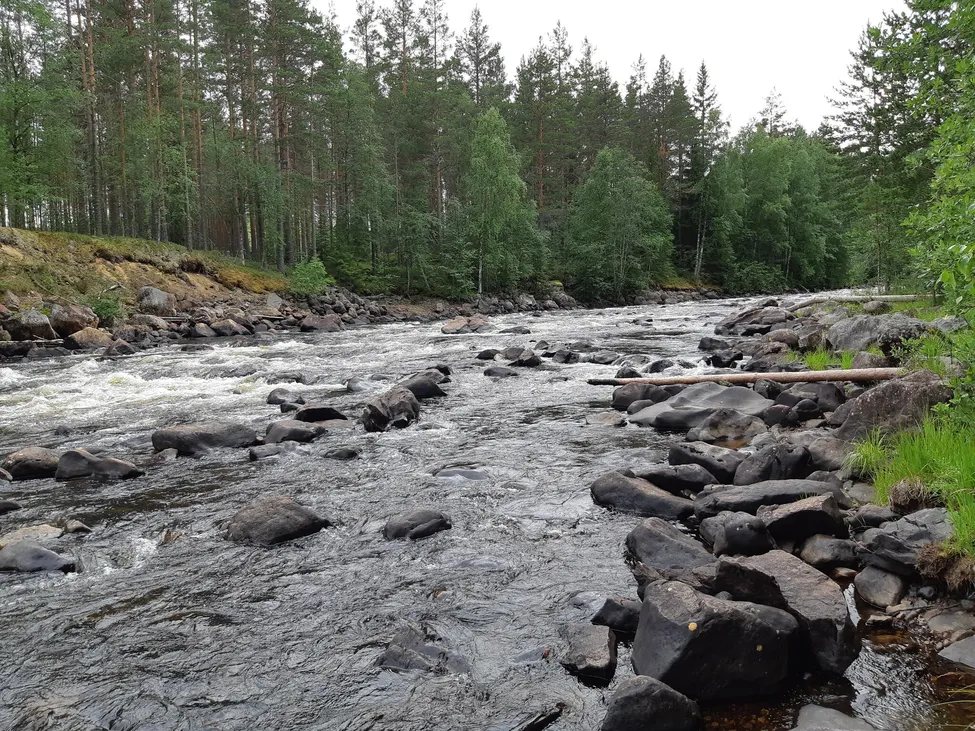 Klicka för att förstora