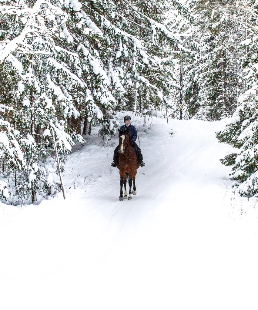 Klicka för att förstora