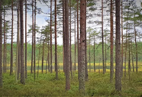 Bergslagsleden Etapp 5: Uskavi - Hammarby