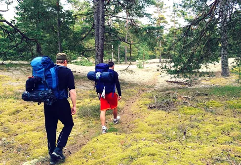 Fårövandring i kust & skog 2015