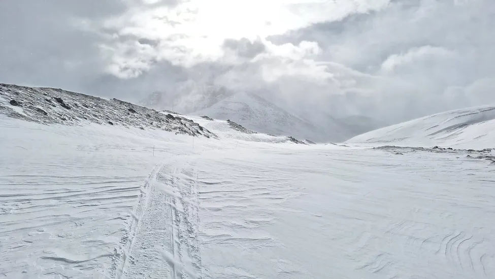 Klicka för att förstora