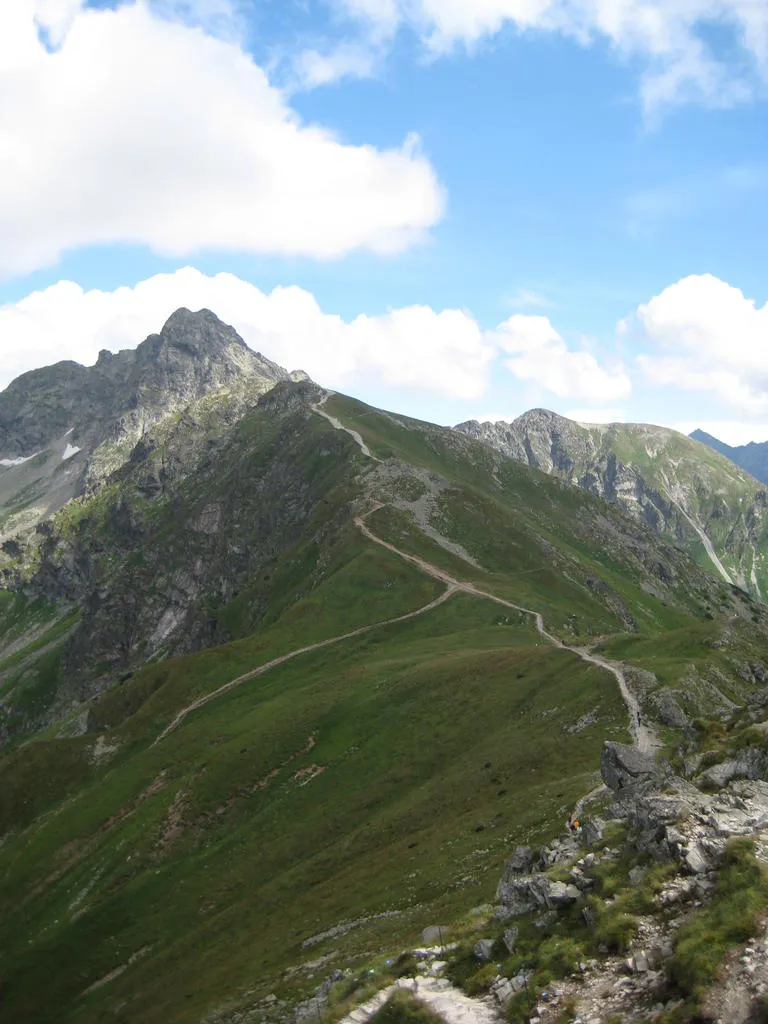 Klicka för att förstora