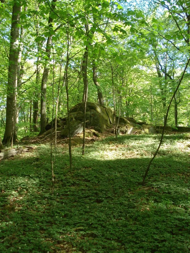 Klicka för att förstora