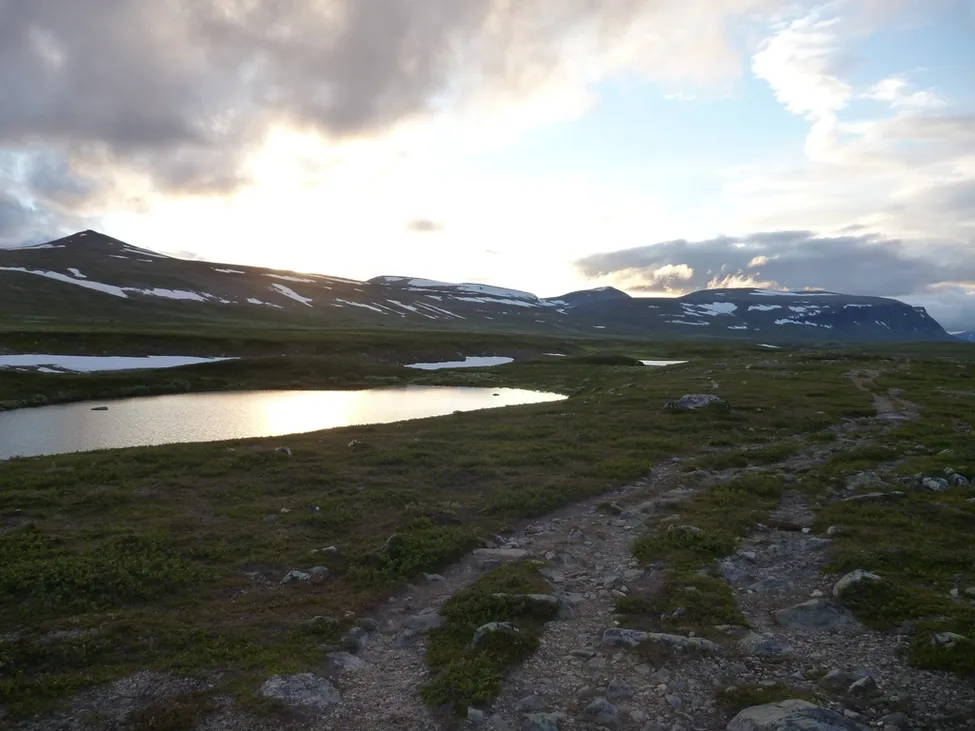 Klicka för att förstora
