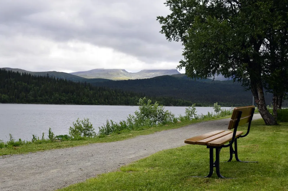 Klicka för att förstora