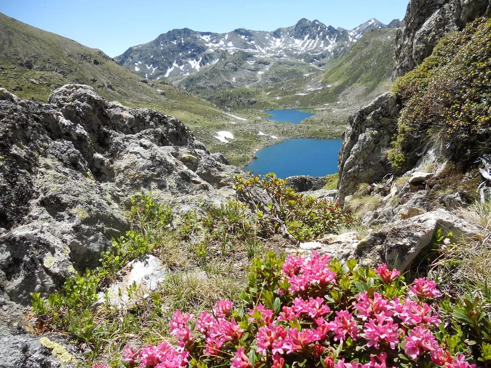 Klicka för att förstora