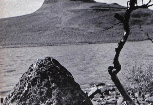 Ljuset i Abisko 3 (4)