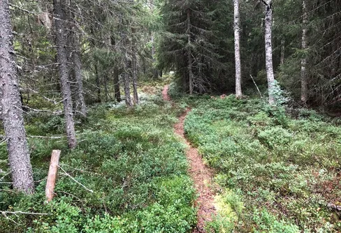 Vandringens dag 12 september